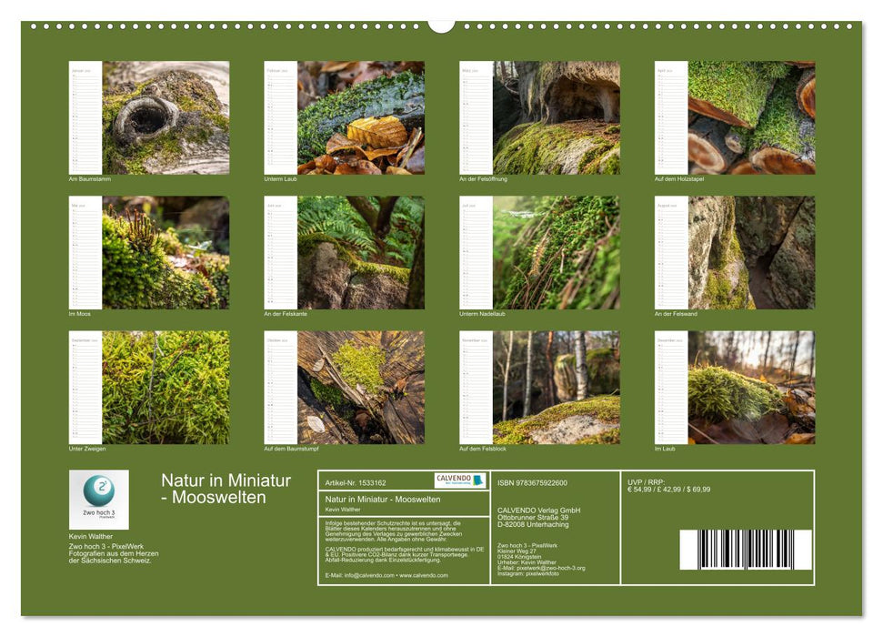 Natur in Miniatur - Mooswelten (CALVENDO Wandkalender 2024)