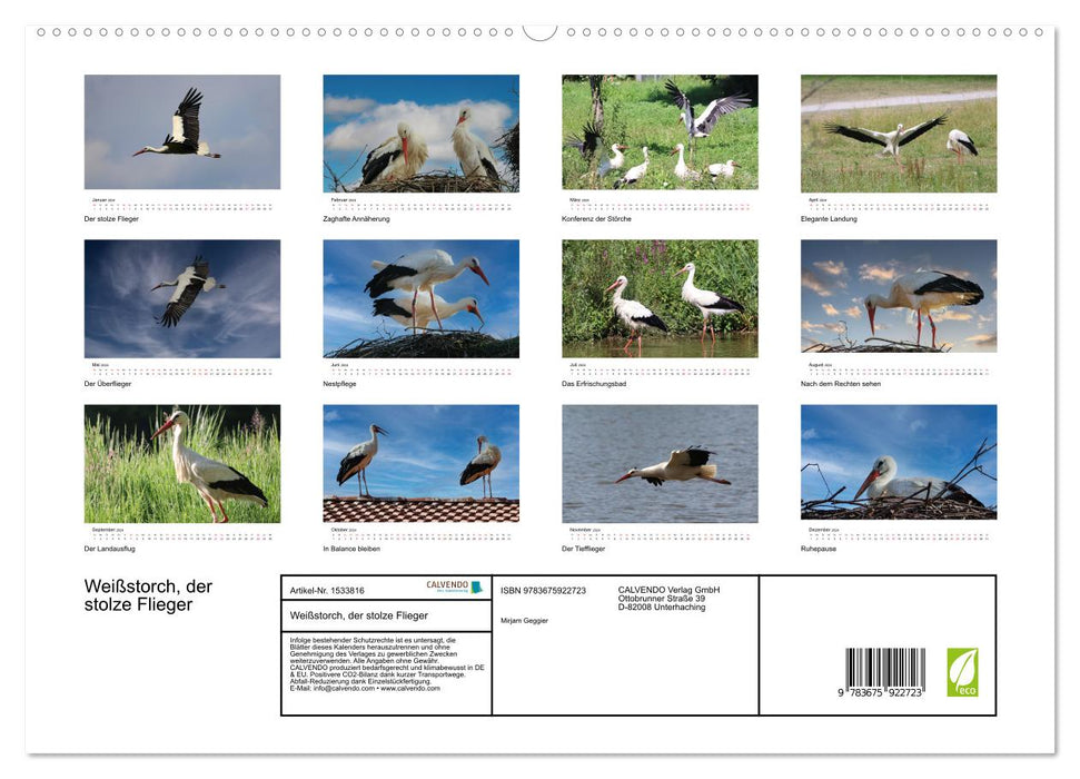 White stork, the proud flyer (CALVENDO Premium Wall Calendar 2024) 