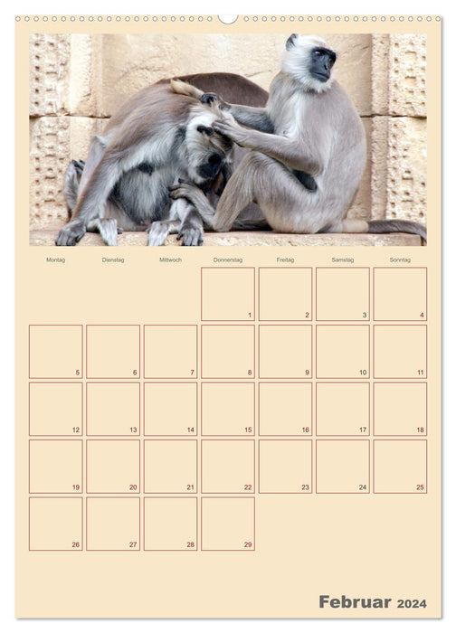 Kleiner Zoobesuch . Familienplaner (CALVENDO Premium Wandkalender 2024)
