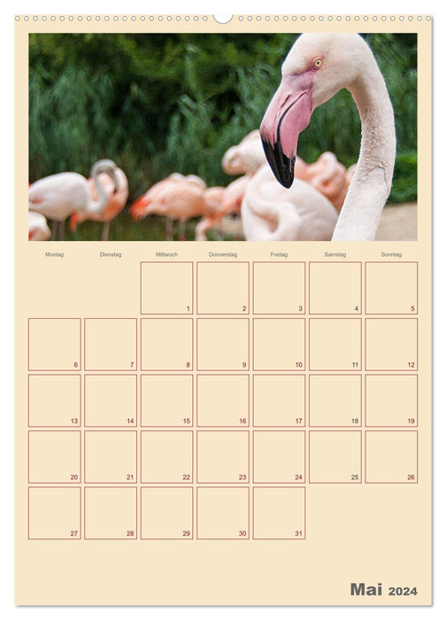 Kleiner Zoobesuch . Familienplaner (CALVENDO Premium Wandkalender 2024)