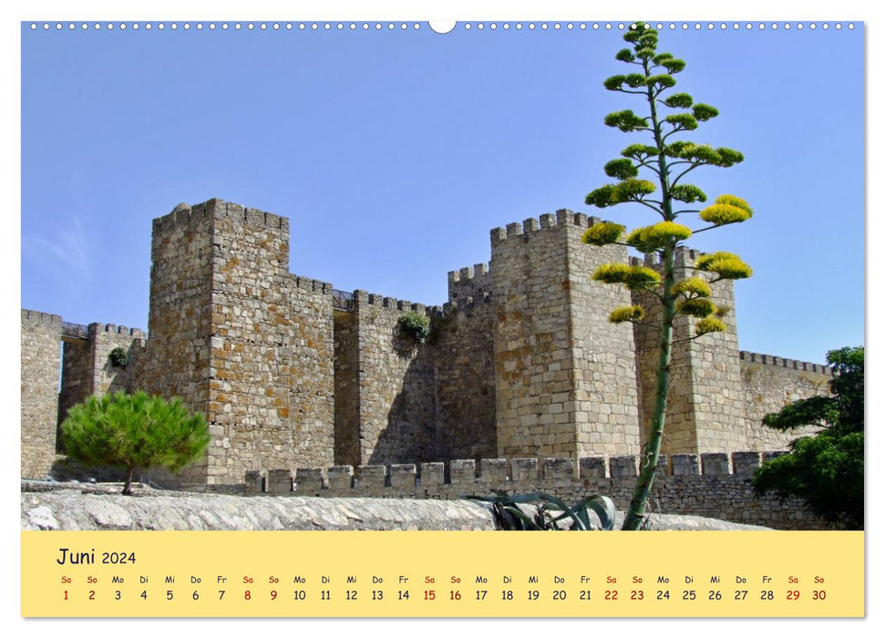 Châteaux historiques en Espagne (calendrier mural CALVENDO 2024) 