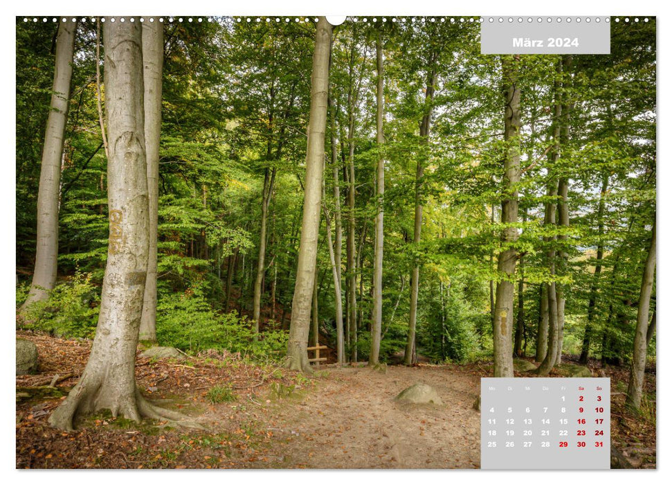 L'Odenwald et la mer des rochers (Calendrier mural CALVENDO Premium 2024) 