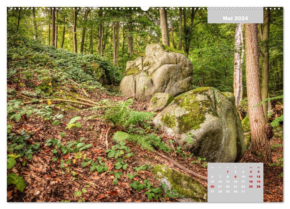 L'Odenwald et la mer des rochers (Calendrier mural CALVENDO Premium 2024) 