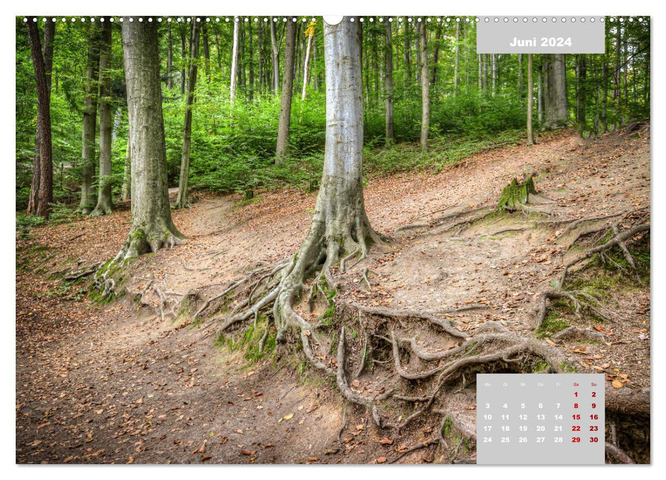 L'Odenwald et la mer des rochers (Calendrier mural CALVENDO Premium 2024) 