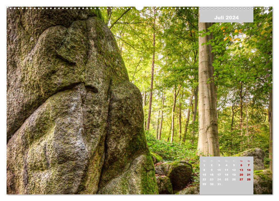 L'Odenwald et la mer des rochers (Calendrier mural CALVENDO Premium 2024) 