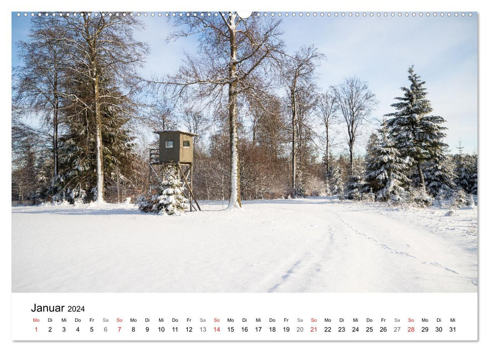 Wittgenstein - A region with impressively beautiful landscape (CALVENDO Premium Wall Calendar 2024) 
