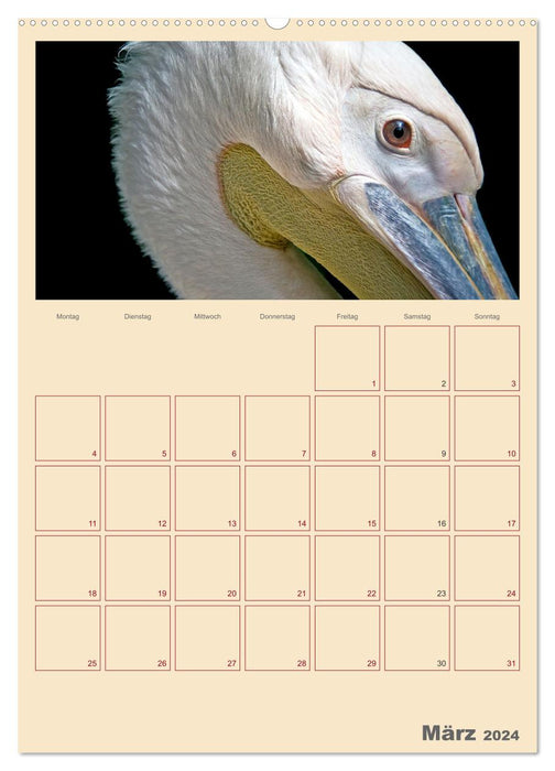 A little visit to the zoo. Family planner (CALVENDO wall calendar 2024) 