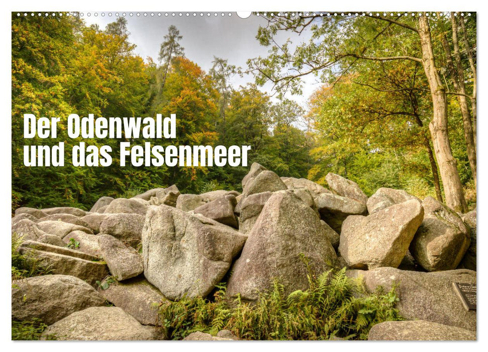 The Odenwald and the Sea of ​​Rocks (CALVENDO wall calendar 2024) 