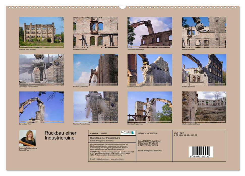 Dismantling an industrial ruin - Böllberger Speicher (CALVENDO wall calendar 2024) 