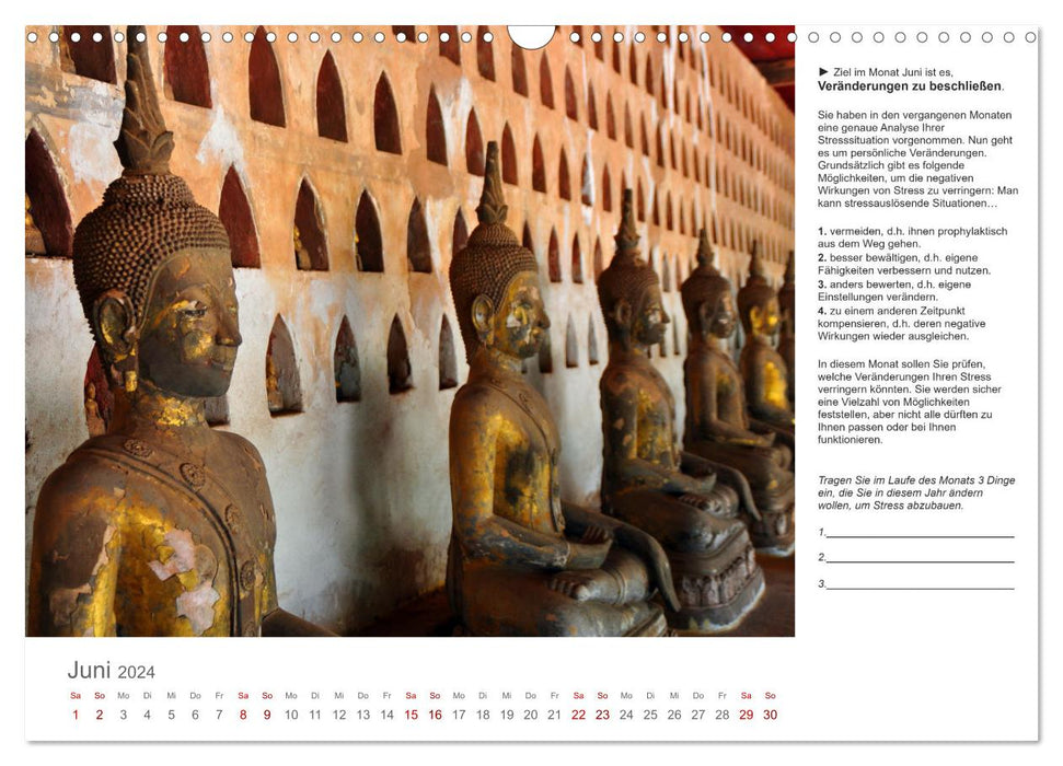 Stress relief theme calendar (CALVENDO wall calendar 2024) 