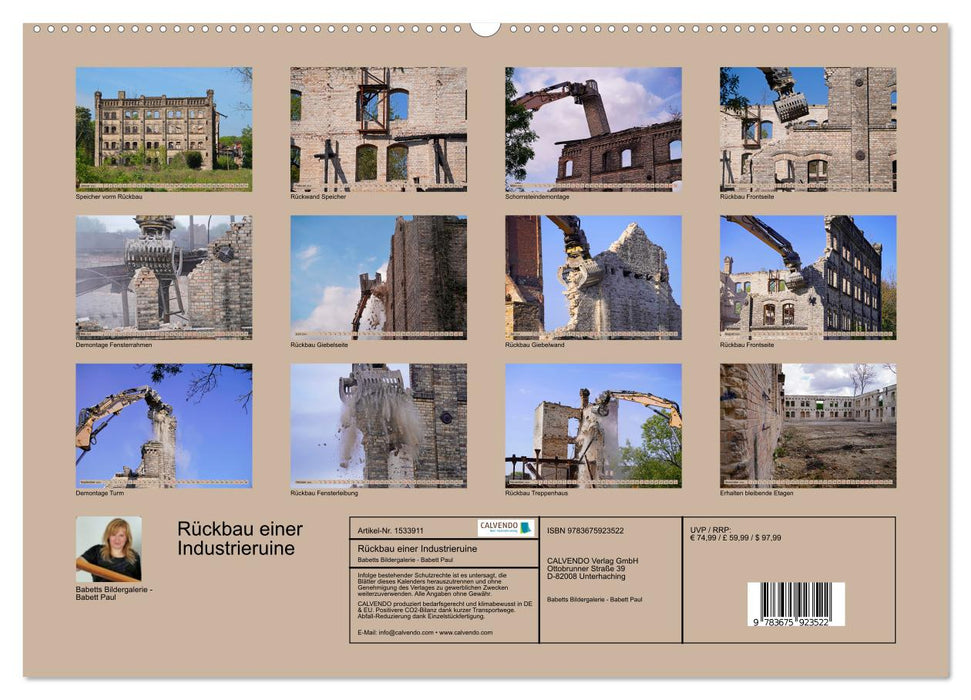 Dismantling an industrial ruin - Böllberger Speicher (CALVENDO Premium Wall Calendar 2024) 