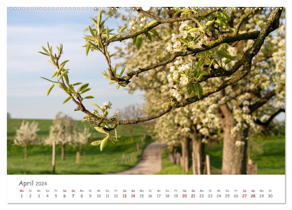 Discover Home: Bergisches Land (CALVENDO Premium Wall Calendar 2024) 