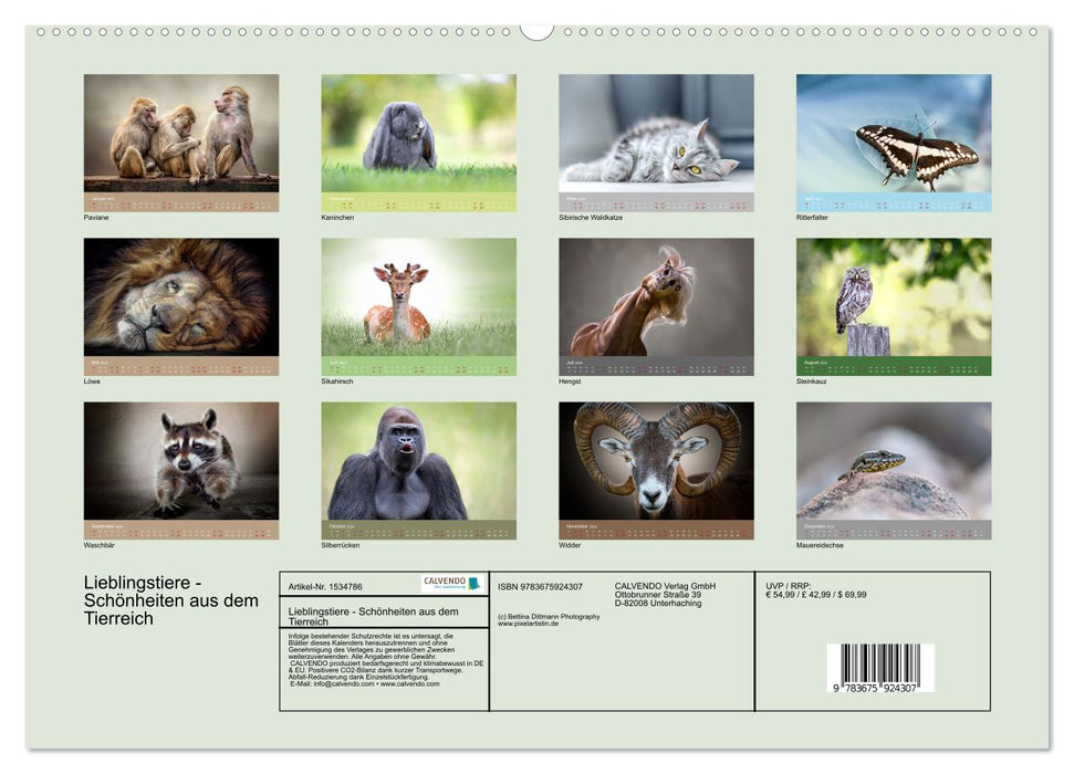 Animaux préférés - beautés du règne animal (calendrier mural CALVENDO 2024) 