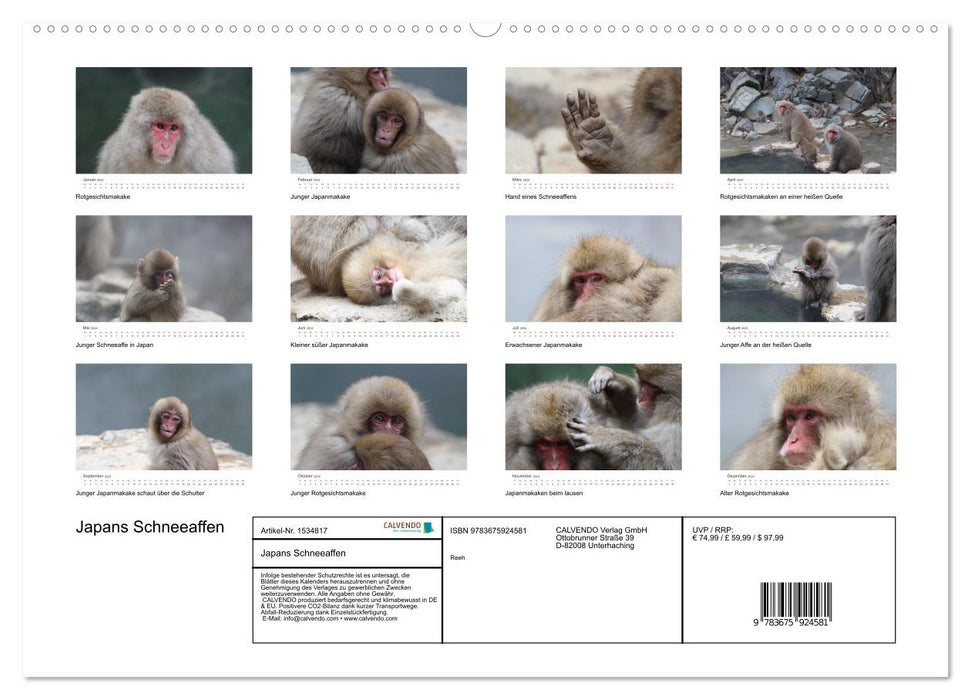 Japan's Snow Monkeys (CALVENDO Premium Wall Calendar 2024) 