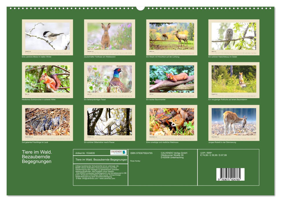 Animals in the forest. Enchanting Encounters (CALVENDO Premium Wall Calendar 2024) 