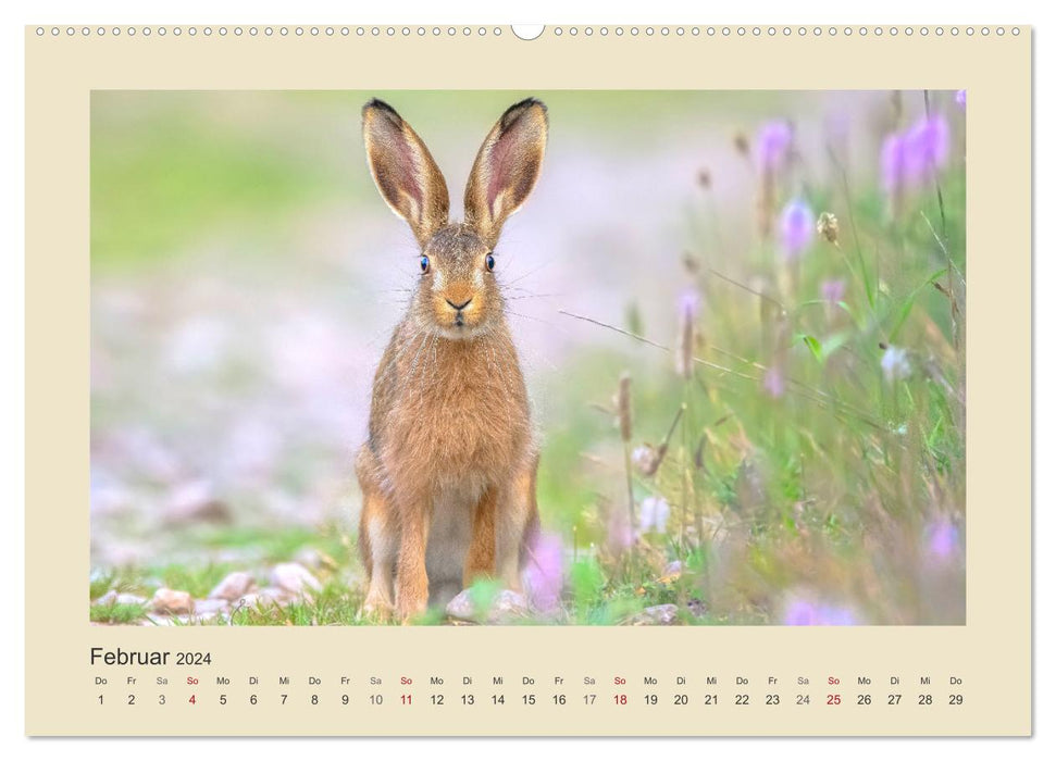 Animals in the forest. Enchanting Encounters (CALVENDO Premium Wall Calendar 2024) 