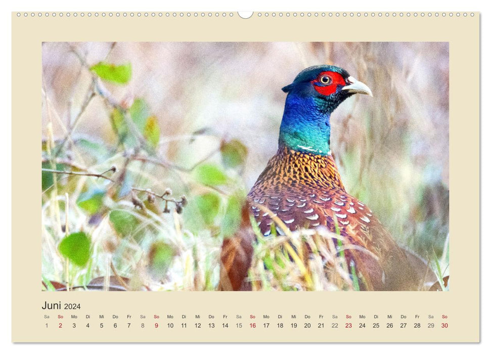 Animals in the forest. Enchanting Encounters (CALVENDO Premium Wall Calendar 2024) 