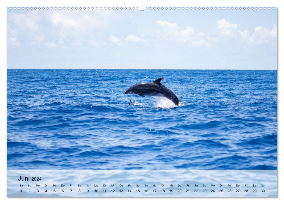 Madeira - views of nature (CALVENDO wall calendar 2024) 