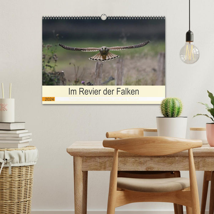 In the territory of the falcons (CALVENDO wall calendar 2024) 