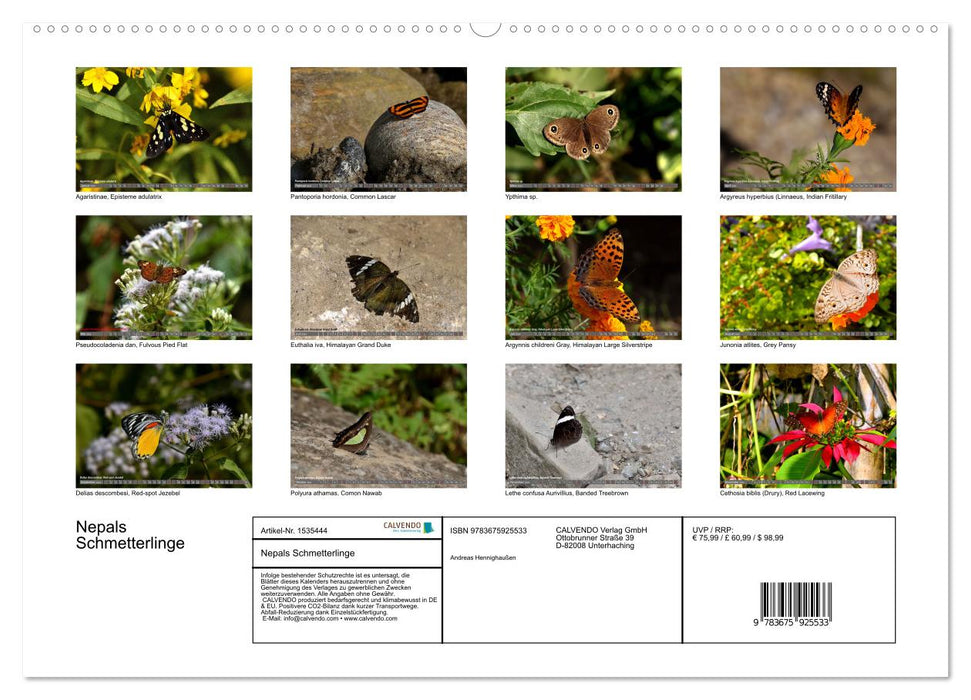 Nepal's Butterflies (CALVENDO Premium Wall Calendar 2024) 