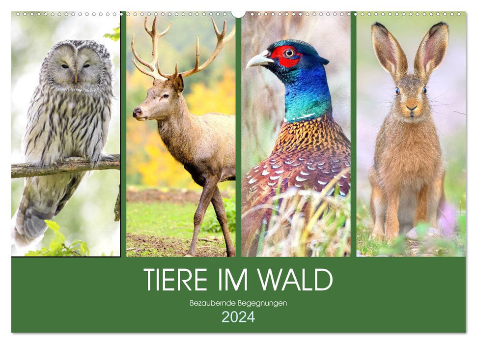 Animals in the forest. Enchanting encounters (CALVENDO wall calendar 2024) 