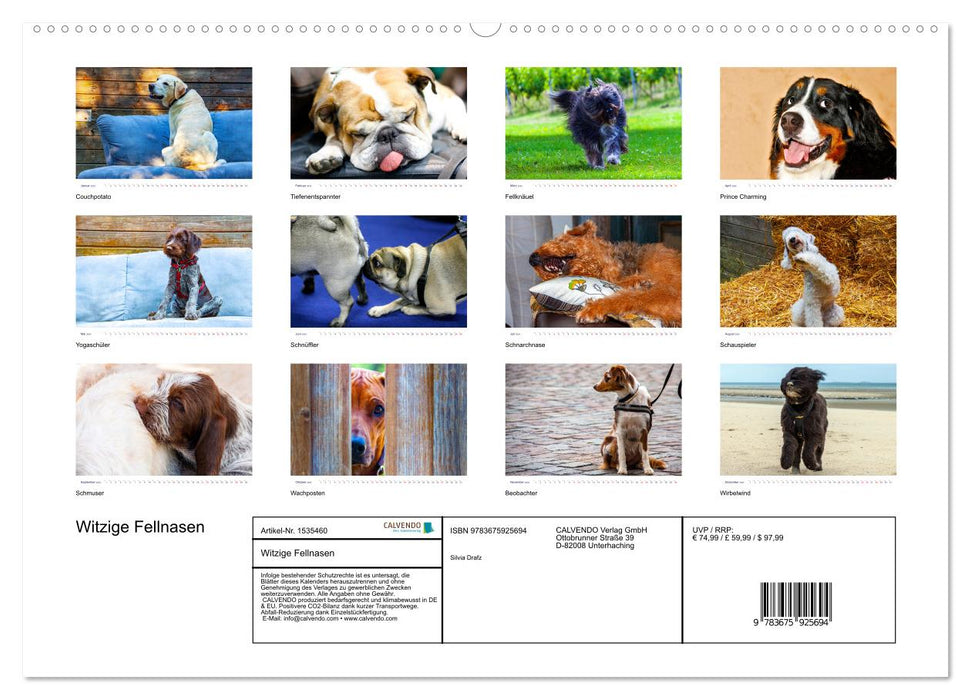 Funny furry friends (CALVENDO Premium Wall Calendar 2024) 