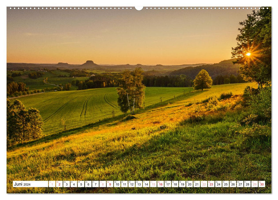 The Lilienstein through the seasons (CALVENDO Premium Wall Calendar 2024) 