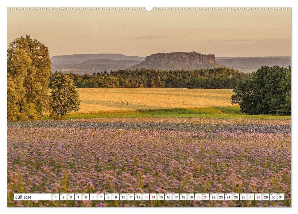 Der Lilienstein im Wandel der Jahreszeiten (CALVENDO Premium Wandkalender 2024)