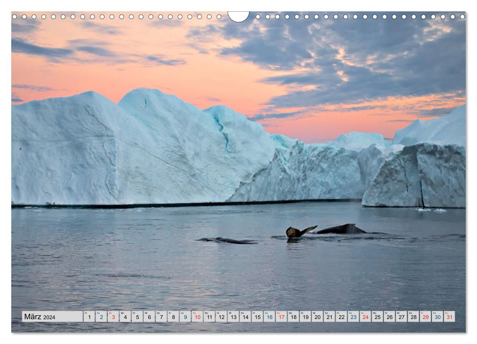 Bezauberndes, eisiges Grönland (CALVENDO Wandkalender 2024)