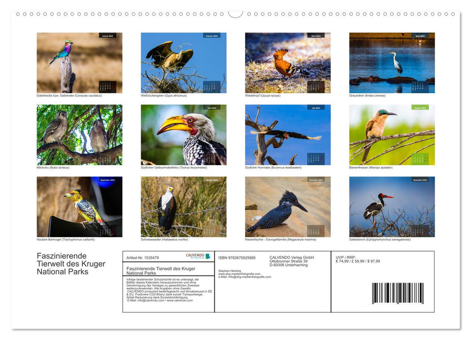 The colorful bird world in the Kruger National Park (CALVENDO Premium Wall Calendar 2024) 