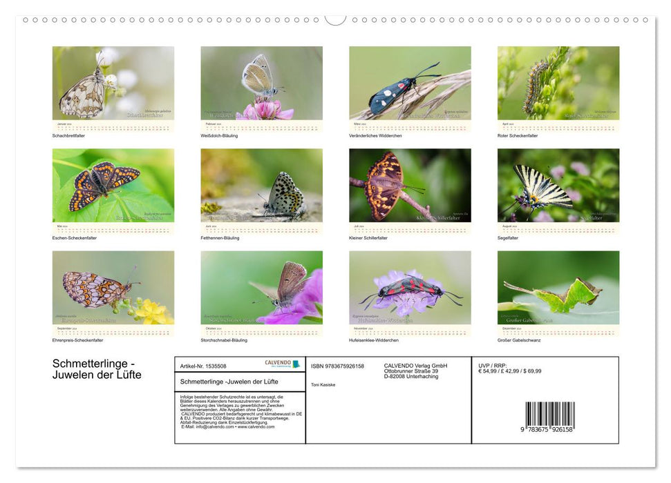 Butterflies - Jewels of the Air (CALVENDO Wall Calendar 2024) 