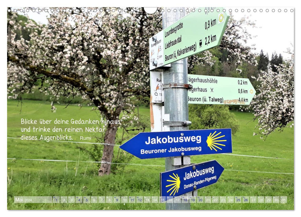 Beuroner Jakobsweg (CALVENDO Wandkalender 2024)