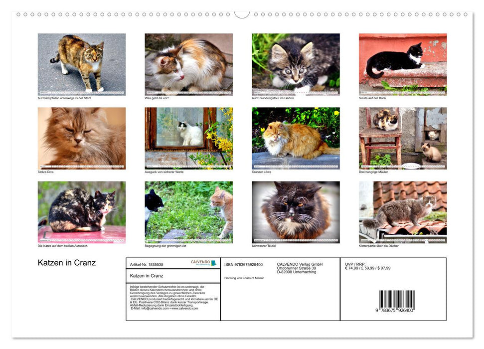 Cats in Cranz (CALVENDO Premium Wall Calendar 2024) 