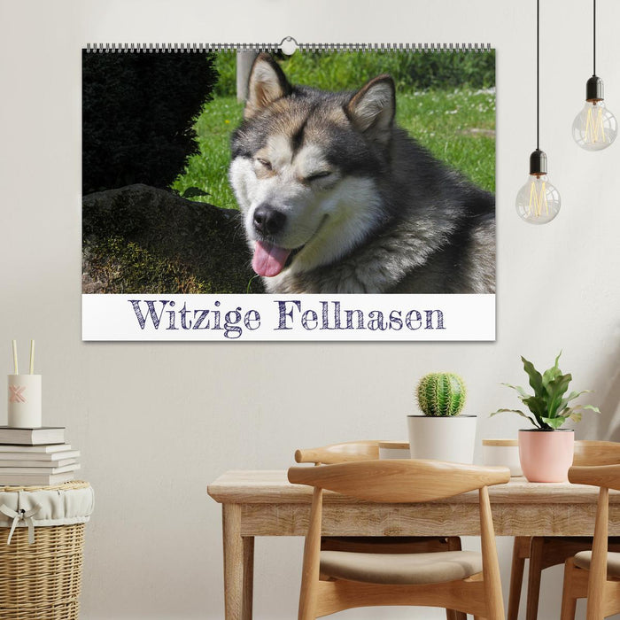 Funny furry friends (CALVENDO wall calendar 2024) 