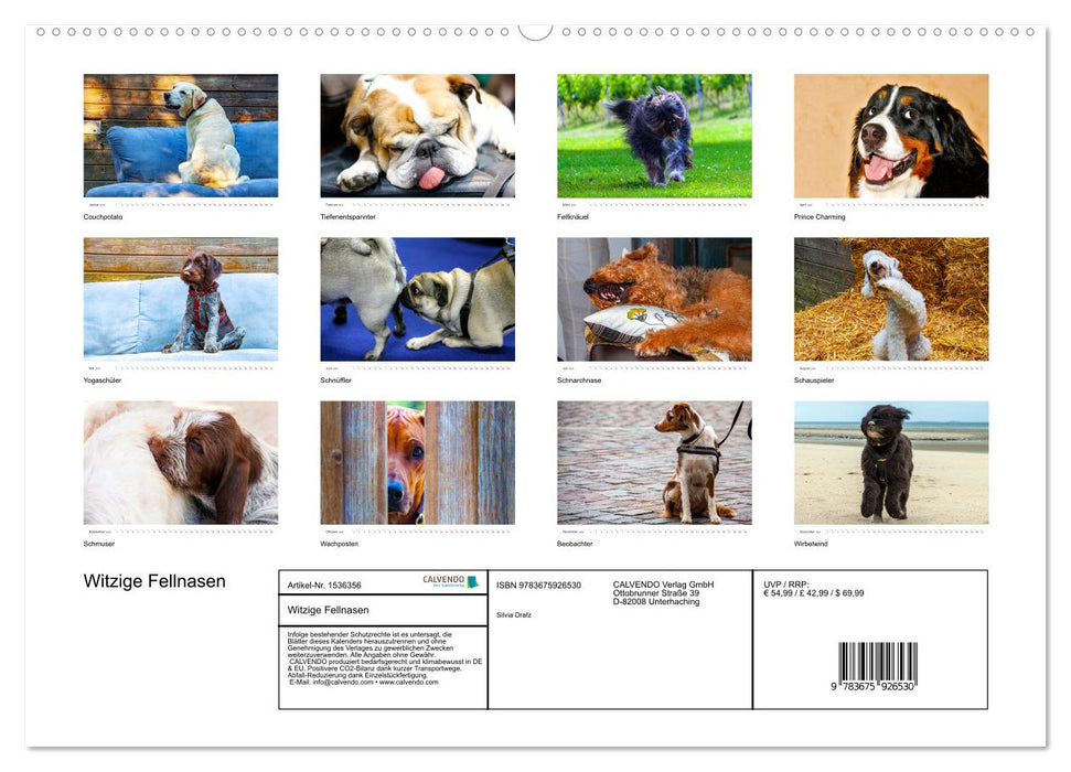 Funny furry friends (CALVENDO wall calendar 2024) 