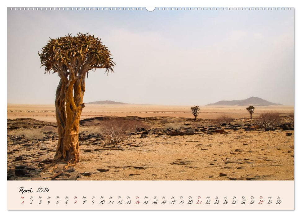 Namibia - Vom Sossusvlei bis zum Etosha Nationalpark (CALVENDO Wandkalender 2024)