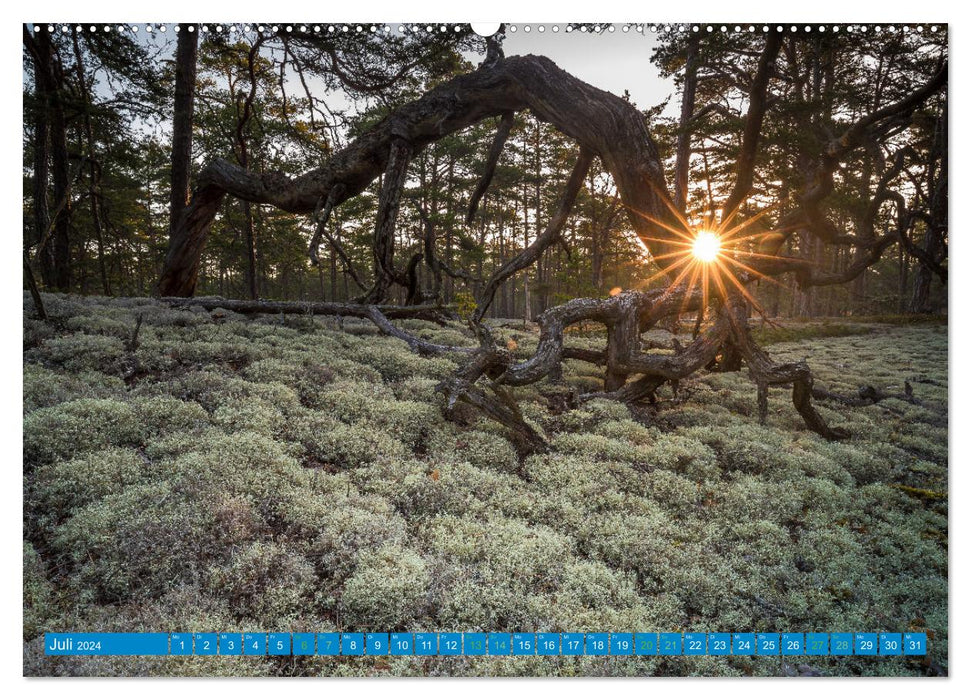 Sweden -A journey through Sweden- (CALVENDO Premium Wall Calendar 2024) 