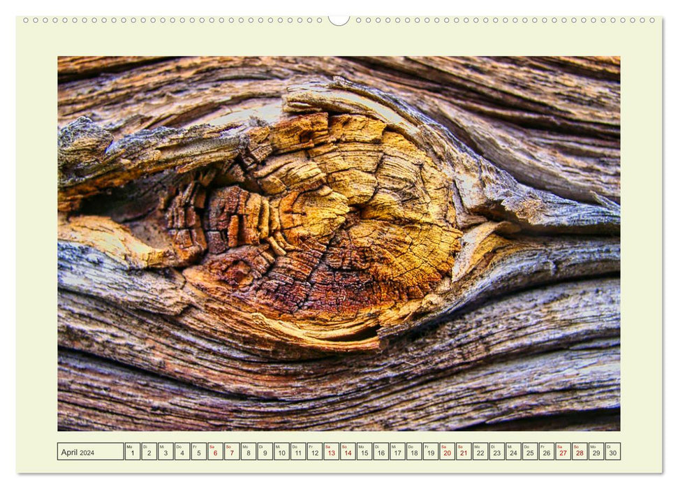 Einfach Holz (CALVENDO Wandkalender 2024)