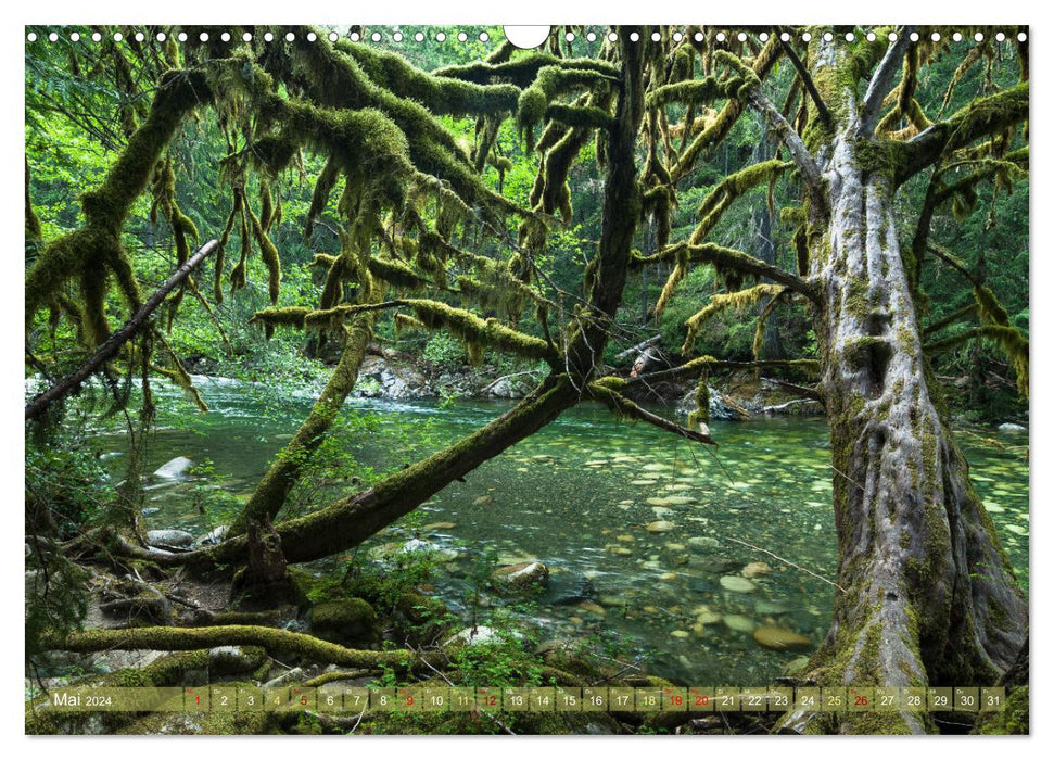 Vancouver Island - Island for Dreaming (CALVENDO Wall Calendar 2024) 