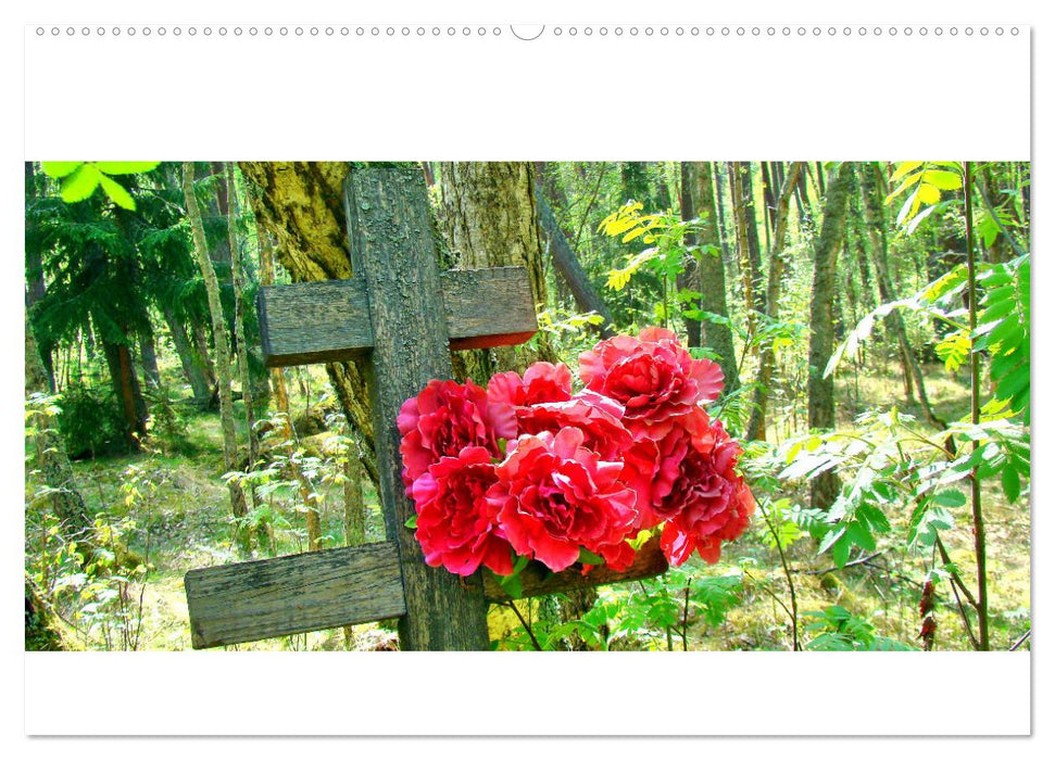 Versöhnung über Gräbern - Der Waldfriedhof in Rossitten (CALVENDO Wandkalender 2024)