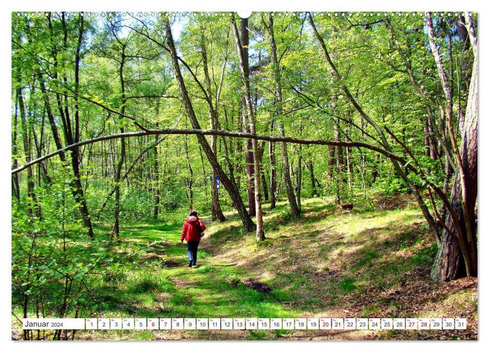 Versöhnung über Gräbern - Der Waldfriedhof in Rossitten (CALVENDO Wandkalender 2024)