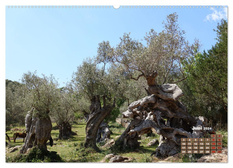 Mallorca - Kultur und Natur (CALVENDO Wandkalender 2024)