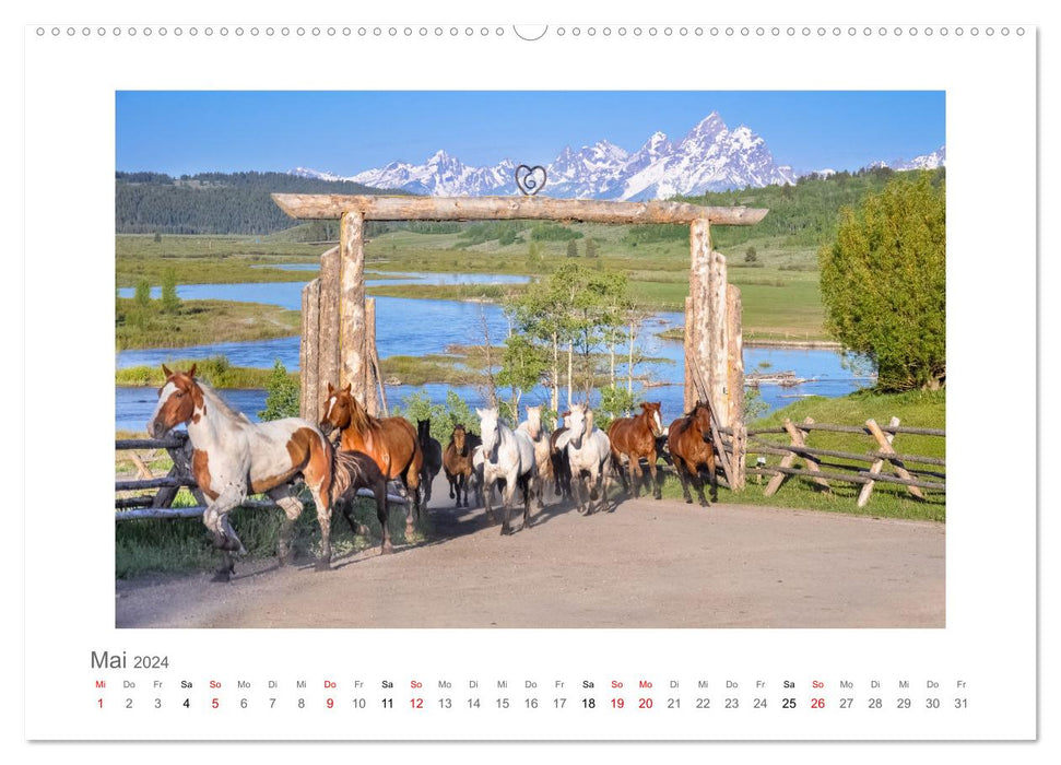 Yellowstone und der Grand Teton Nationalpark - unterwegs mit Julia Hahn (CALVENDO Premium Wandkalender 2024)