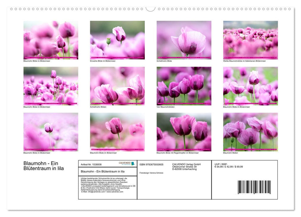 Blaumohn - Ein Blütentraum in lila (CALVENDO Wandkalender 2024)