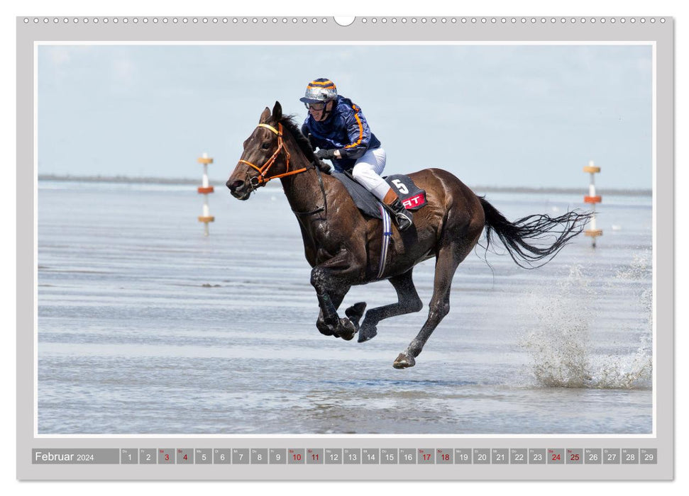 Pferde-Rennen auf Schnee und im Wasser (CALVENDO Premium Wandkalender 2024)