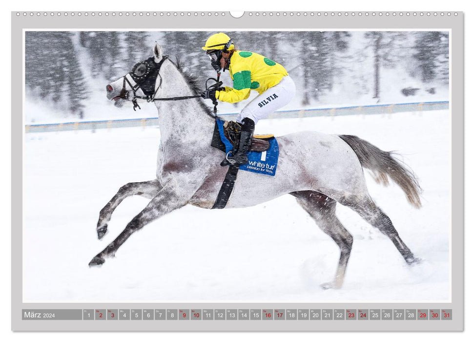 Pferde-Rennen auf Schnee und im Wasser (CALVENDO Premium Wandkalender 2024)