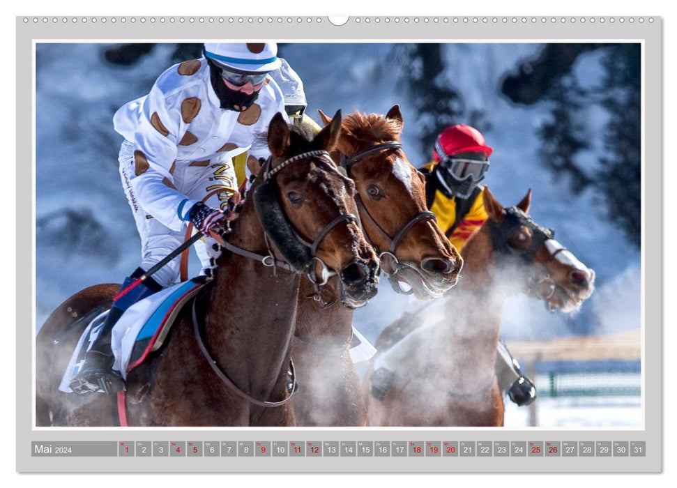 Pferde-Rennen auf Schnee und im Wasser (CALVENDO Premium Wandkalender 2024)