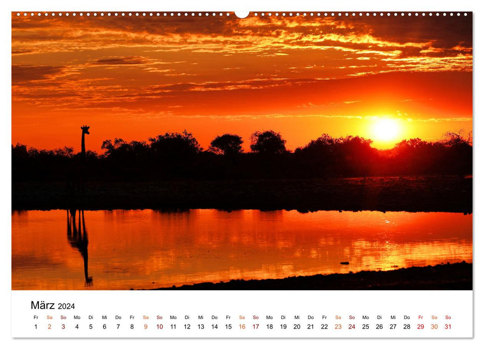 NAMIBIA • Lebensader Wasser (CALVENDO Wandkalender 2024)