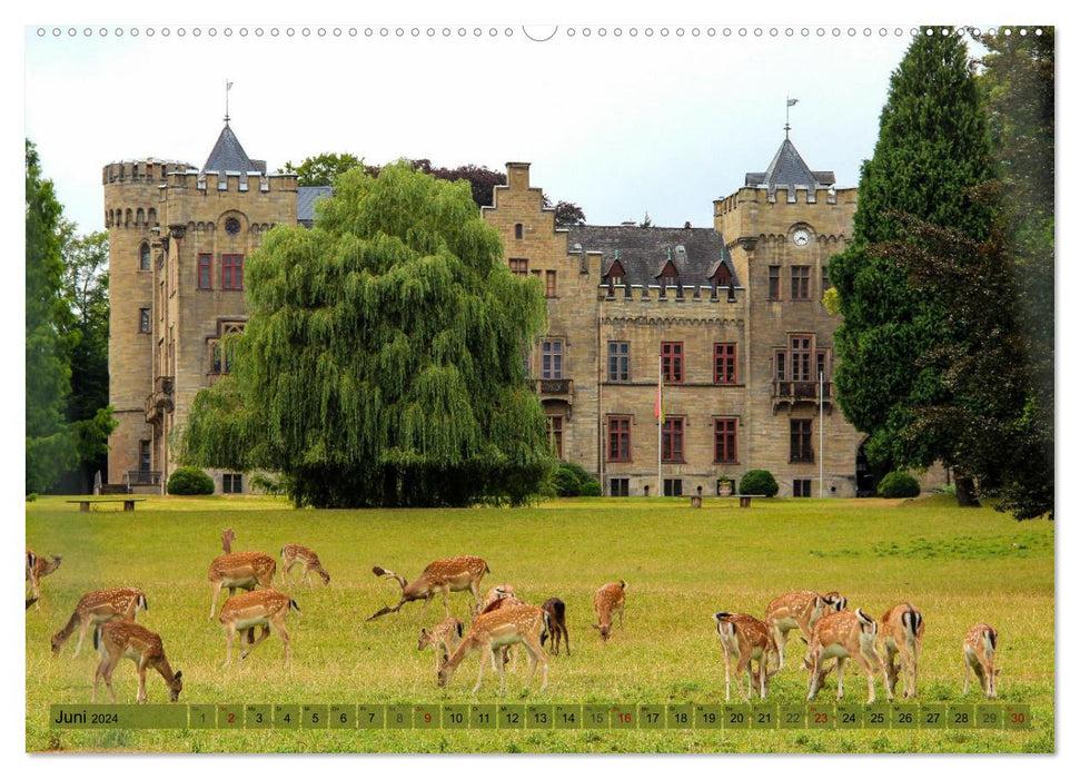 Neheim Ville Lumière avec « Cathédrale du Sauerland » (calendrier mural CALVENDO 2024) 