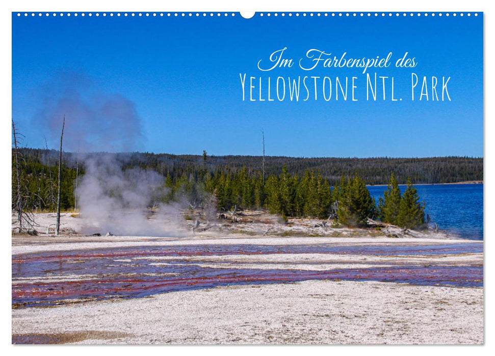 Dans le jeu des couleurs de Yellowstone Natl. Parc (Calendrier mural CALVENDO 2024) 